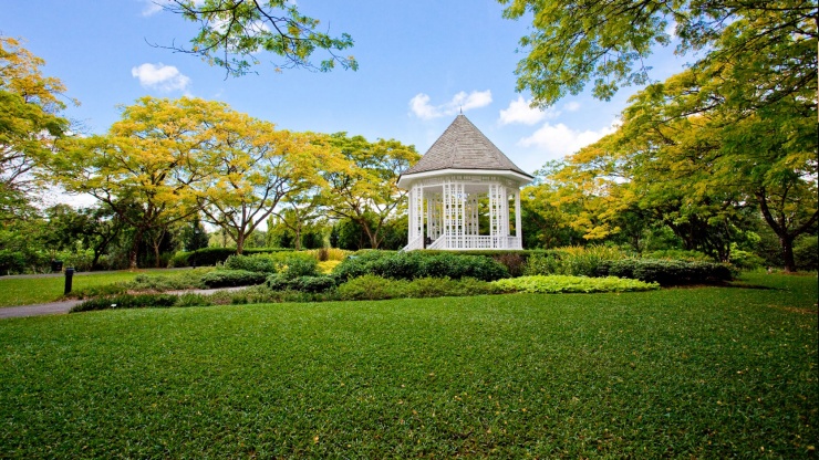 สวนพฤกษศาสตร์สิงคโปร์ (Singapore Botanic Gardens)